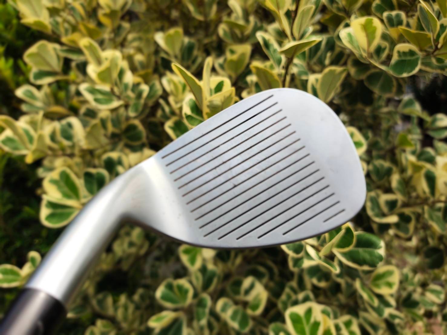 AW HONMA TWIN MARK ตัวพรีเมี่ยมสุดๆๆๆของ HONMA