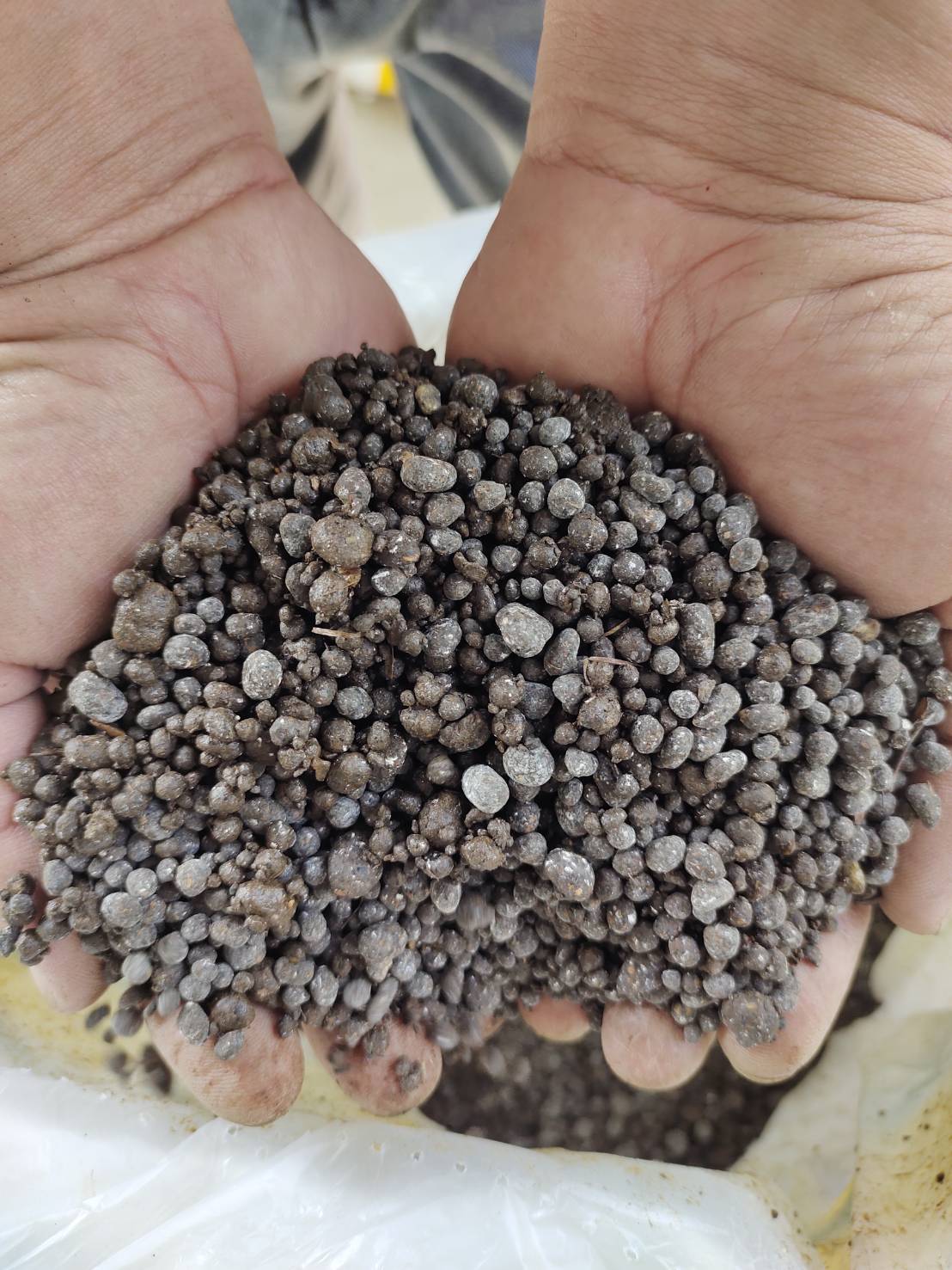 ปุ๋ยอินทรีย์ สูตรสีเขียว(ขายยกกระสอบ) ตราขวัญกสิกร แบบเม็ด ขนาดบรรจุ 25 กก.