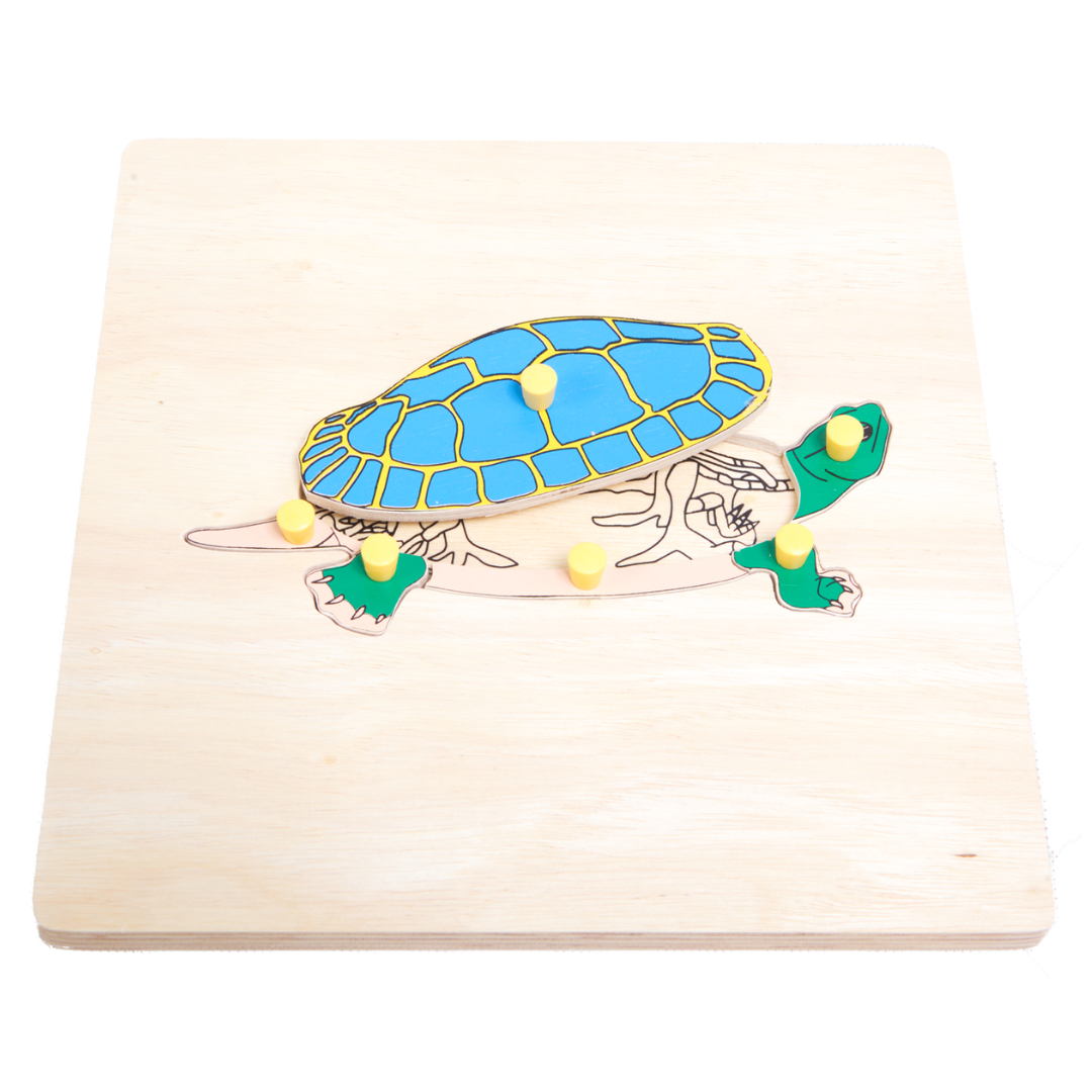 ภาพตัดต่อรูปโครงกระดูก ราคาต่อ 1 แบบ ,ของเล่นไม้, ของเล่นเสริมพัฒนาการ, ของเล่นเด็ก, สื่อการสอน,มอนเตสซอรี่ ,montessori, สื่อการสอนประถม