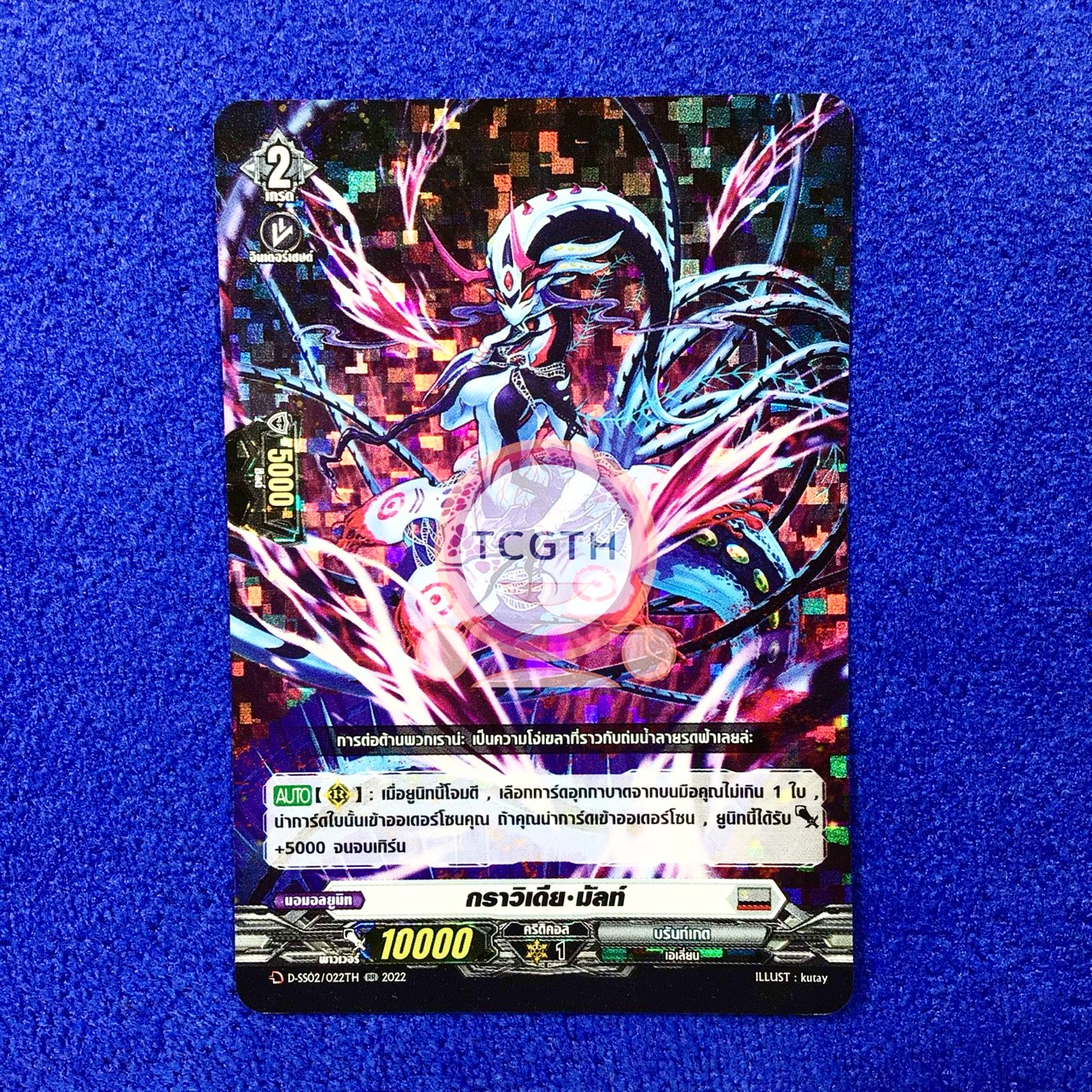 กราวิเดีย•มัสท์