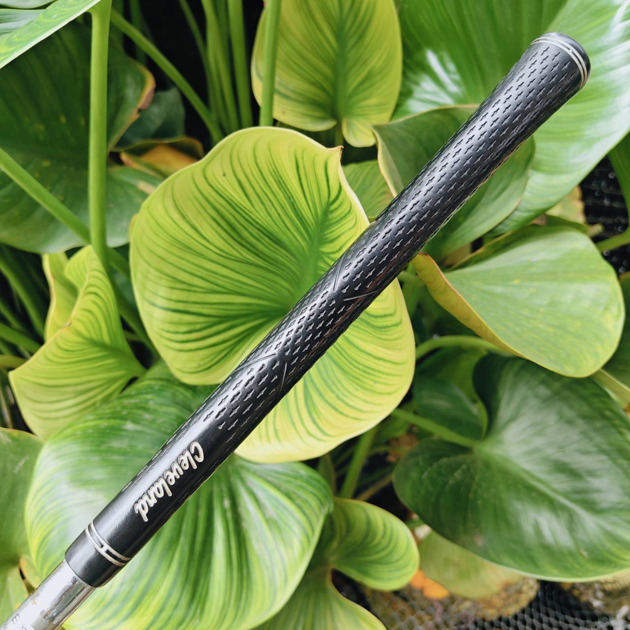 WEDGE CG12 ZIP GROOVE 56° BOUNCE 10 – ช็อตรอบกรีนแม่นยำ เหมาะระเบิดทราย!