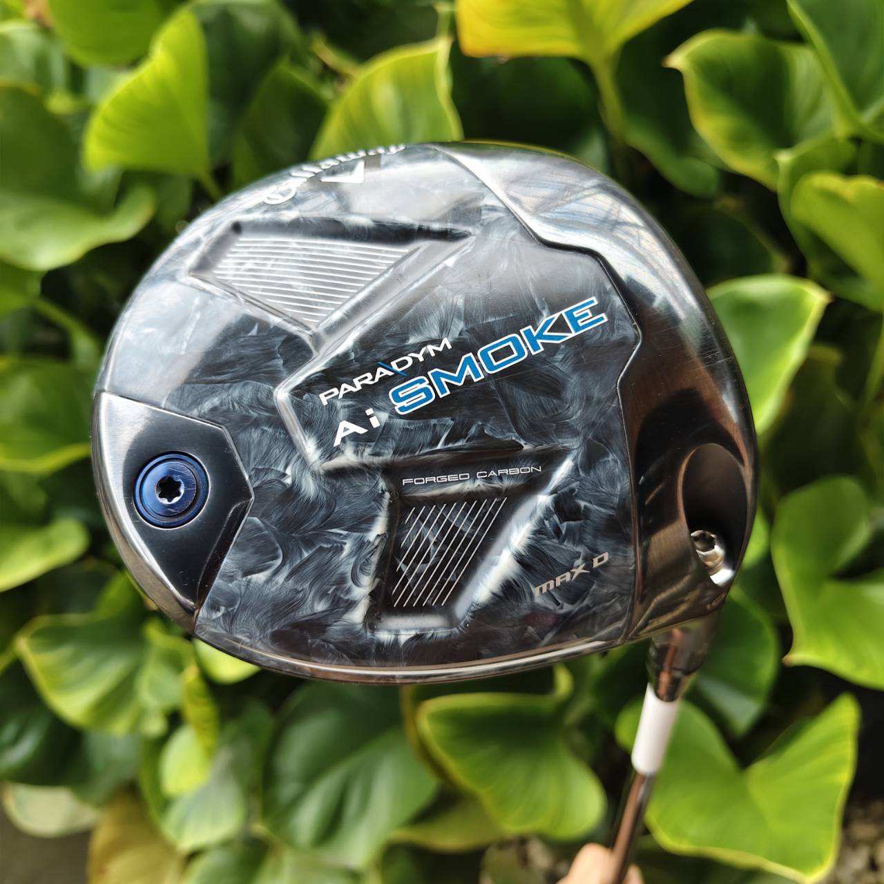 Callaway Paradym Ai Smoke MAX D -- Ai Smart Face วิเคราะห์และออกแบบจากวงสวิงจริง หน้าไม้เสถียรตลอด