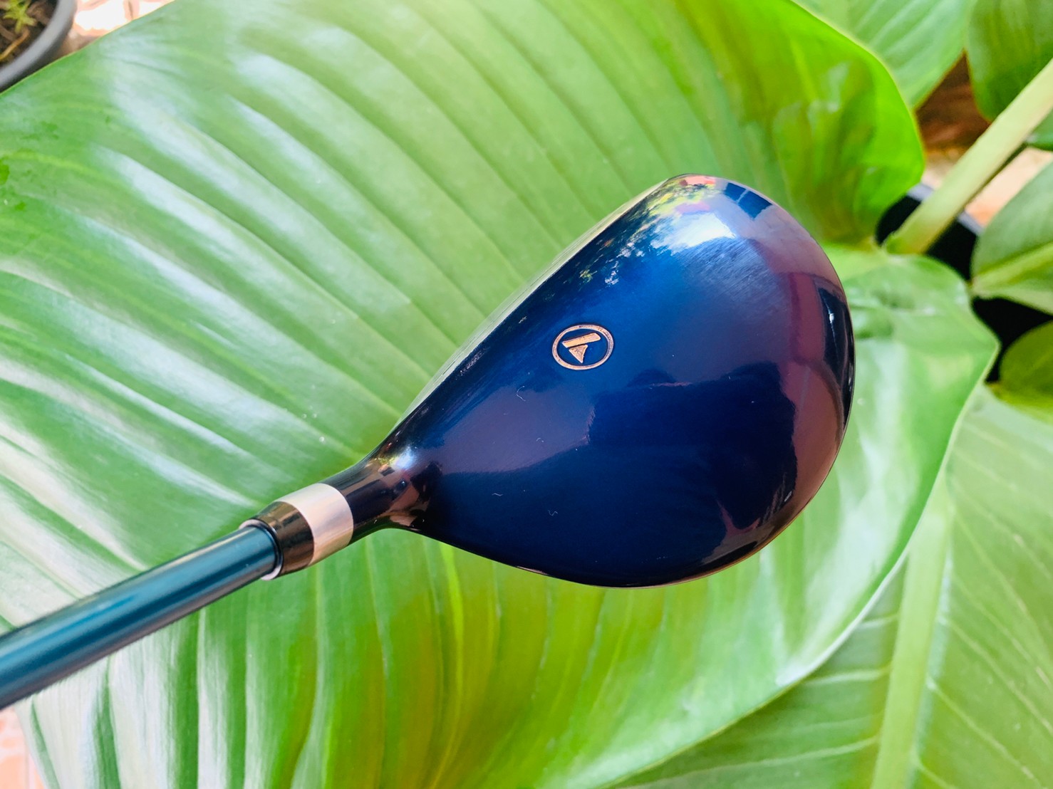 ไม้กอล์ฟครบชุดมือสอง PROKENNEX