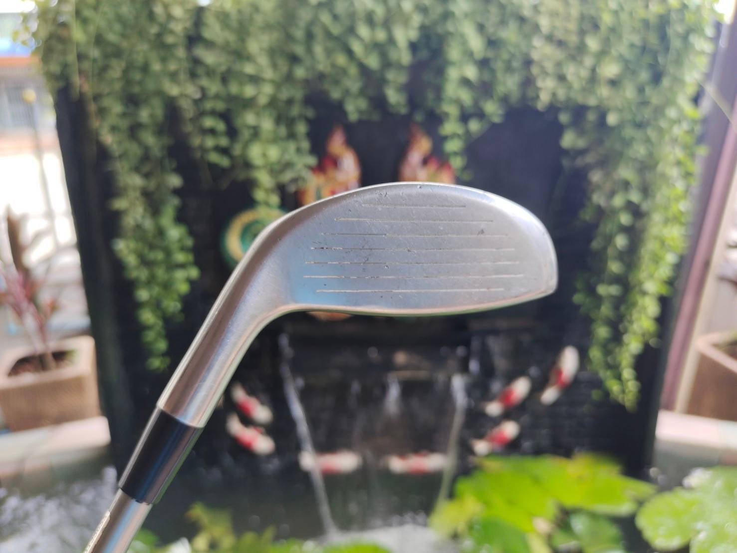 ไฮบริด Cleveland HALO