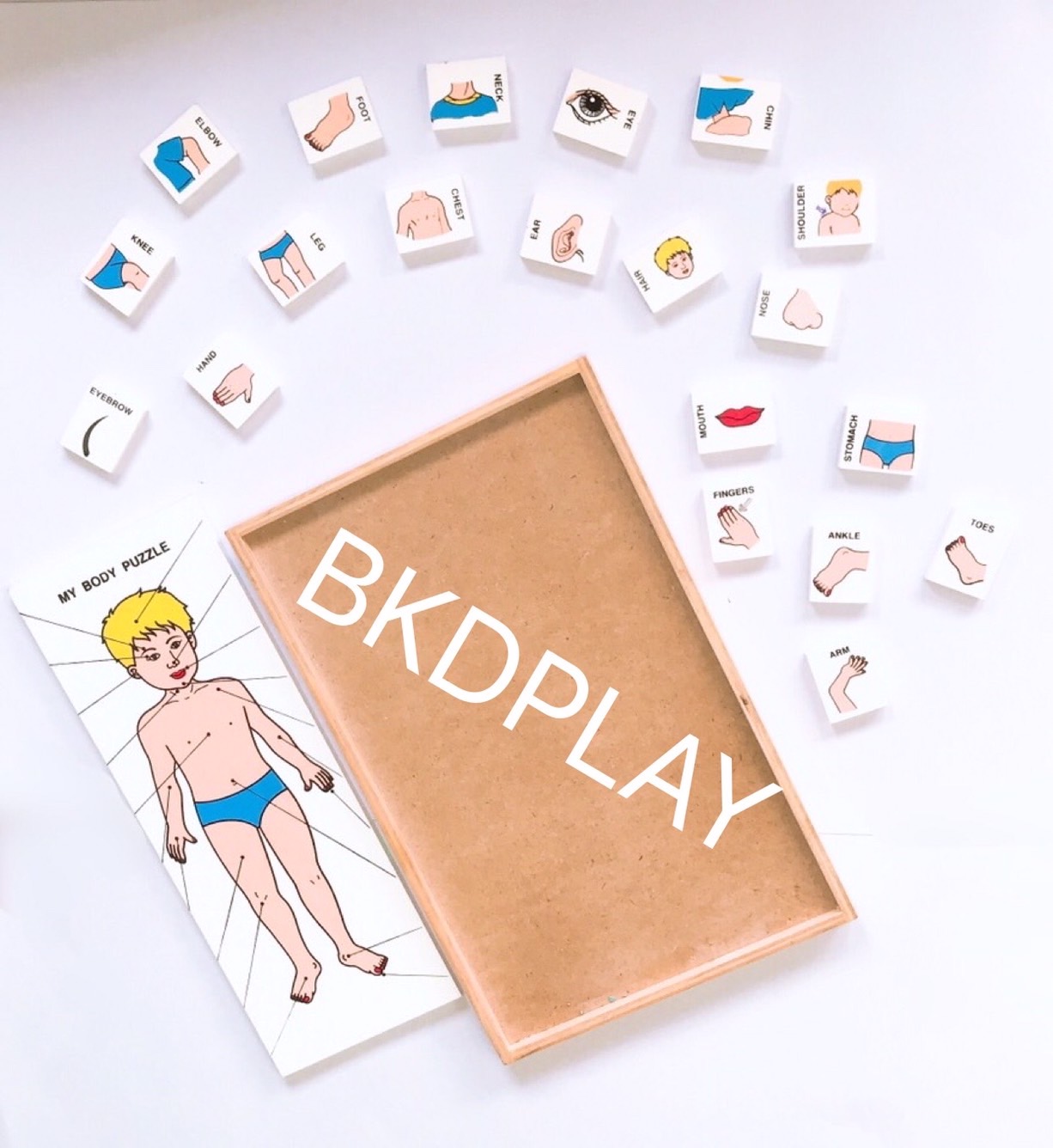 ของเล่น, ของเล่นเด็ก, จิ๊กซอว์, ตัวต่อ, จับคู่ร่างกายของฉัน (ภาษาอังกฤษ) , ของเล่นไม้, ของเล่นเสริมพัฒนาการ, ของเล่นเด็กอนุบาล, สื่อการสอนเด็กอนุบาล