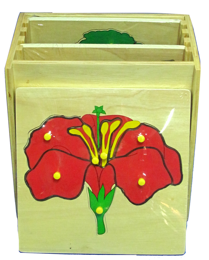 ตู้บาโทนี่พืช พร้อมกระดานต่อภาพ 5 แผ่น, ของเล่นไม้, ของเล่นเสริมพัฒนาการ, ของเล่นเด็กอนุบาล, สื่อการสอนเด็กอนุบาล,มอนเตสซอรี่ ,montessori, สื่อการสอนประถม