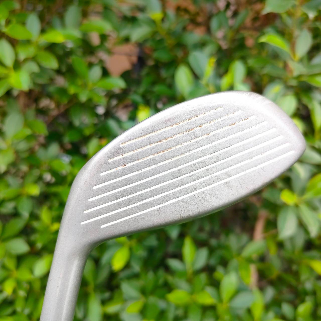 DRIVER1 WILSON W/S STAFF MIDSIZE องศา 10.5 ก้าน FIRESTICK