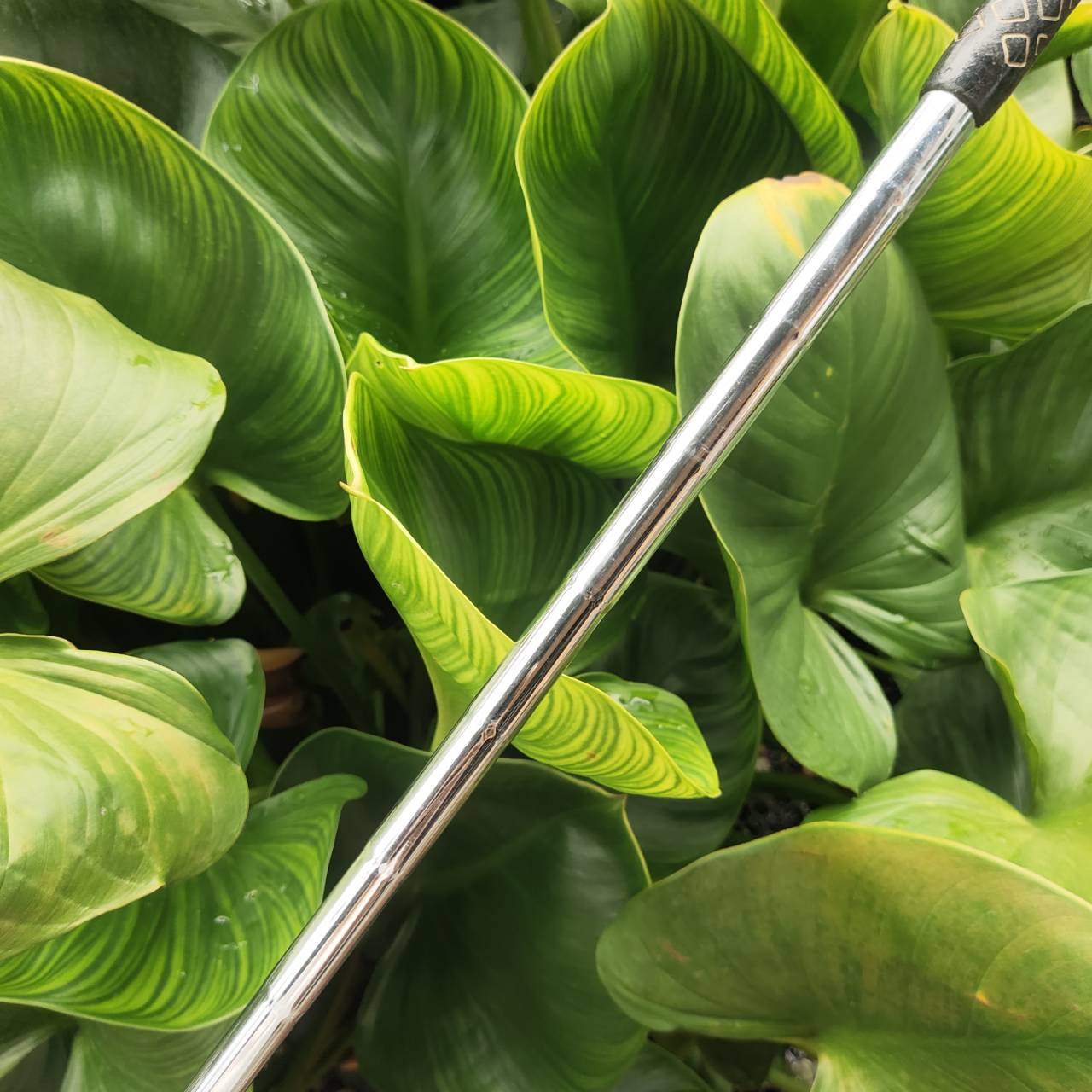 CHIPPER JIGGER ตัวดังใจตำนาน APPROACH MACHINE ขึ้นกรีนง่ายดาย เล็งไลน์ ชิพแอนด์รันแม่นๆ มีลุ้น