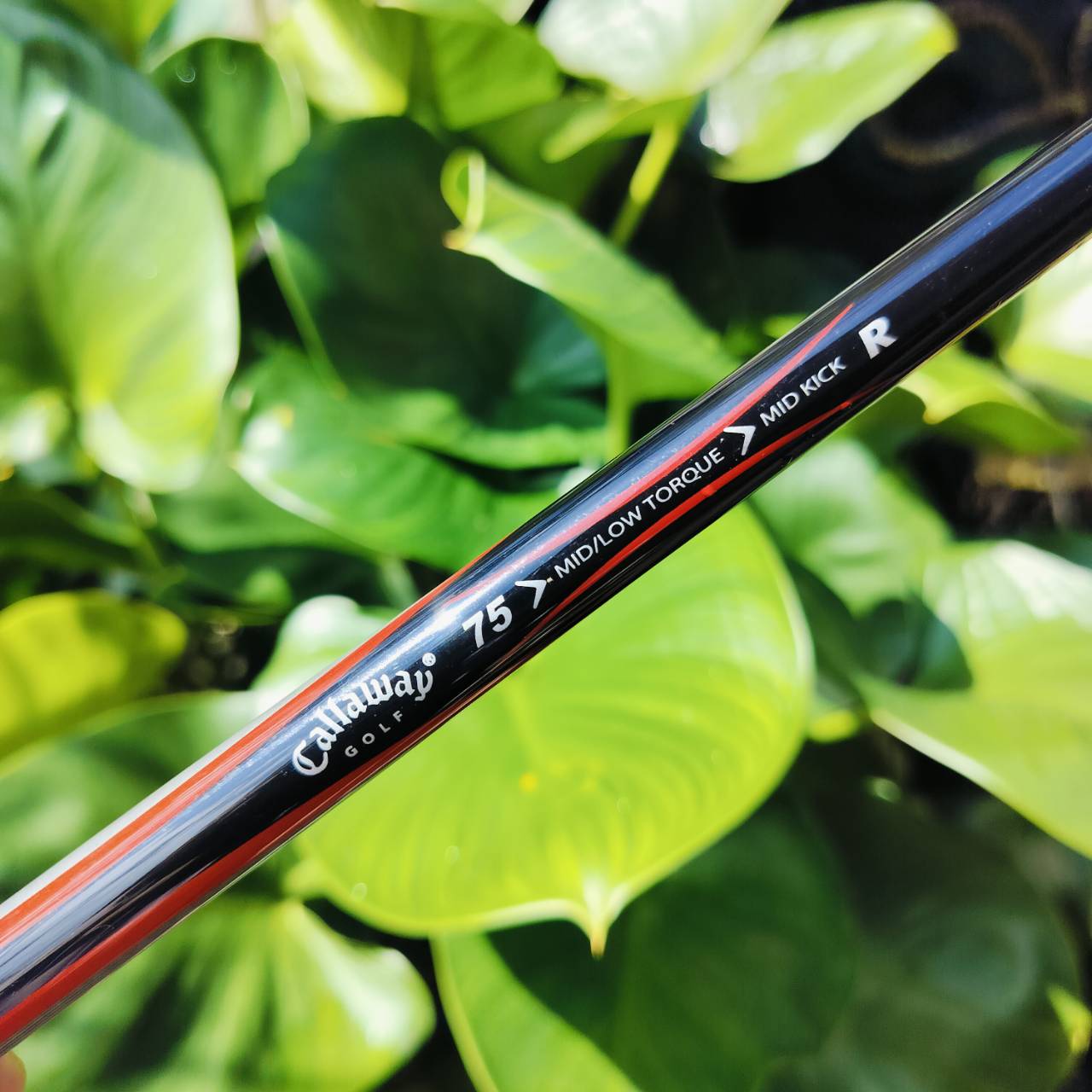 ชุดเหล็ก CALLAWAY BIG BERTHA มีเหล็ก 4-9 เเละ PW SW เป็นชุดเหล็กที่ดีสุดๆของ Callaway ไม้กอล์ฟพรีเมี่ยมมือสอง ของแท้ By NakaraLuxurious