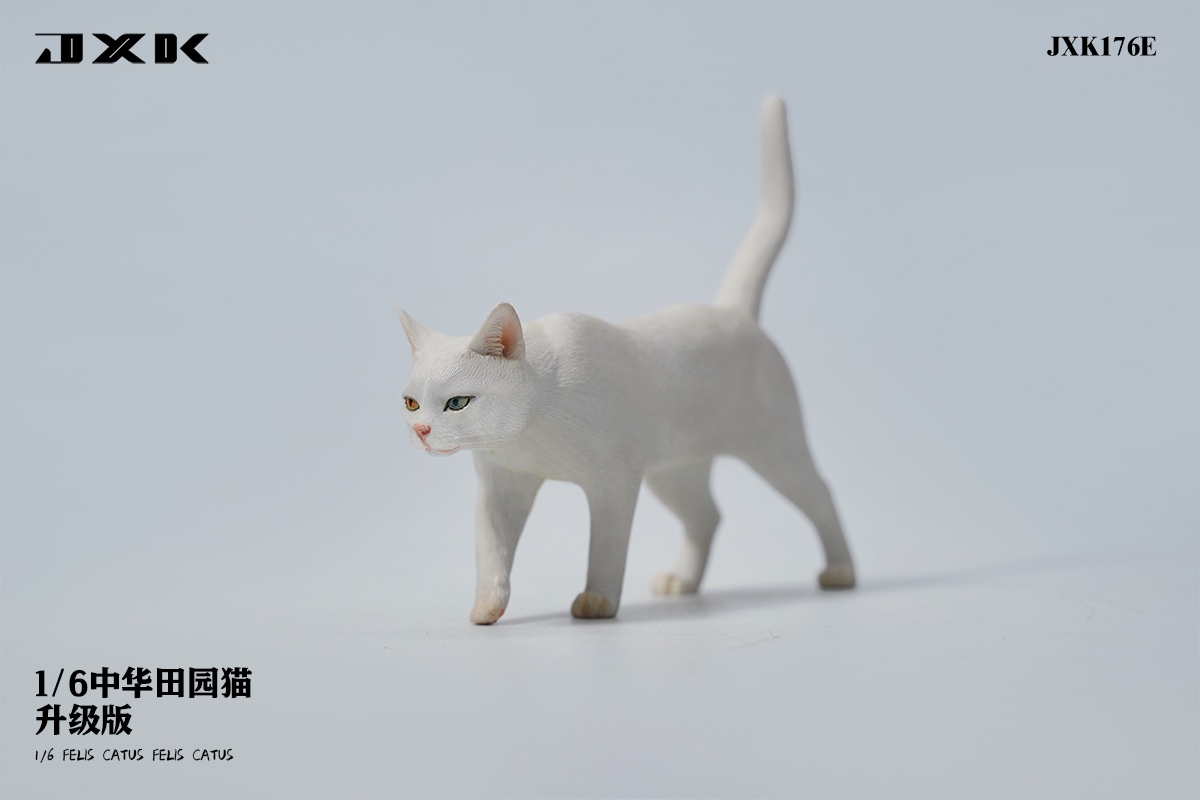 [สั่งจอง] JXK JXK176 1/6 : Felis Catus
