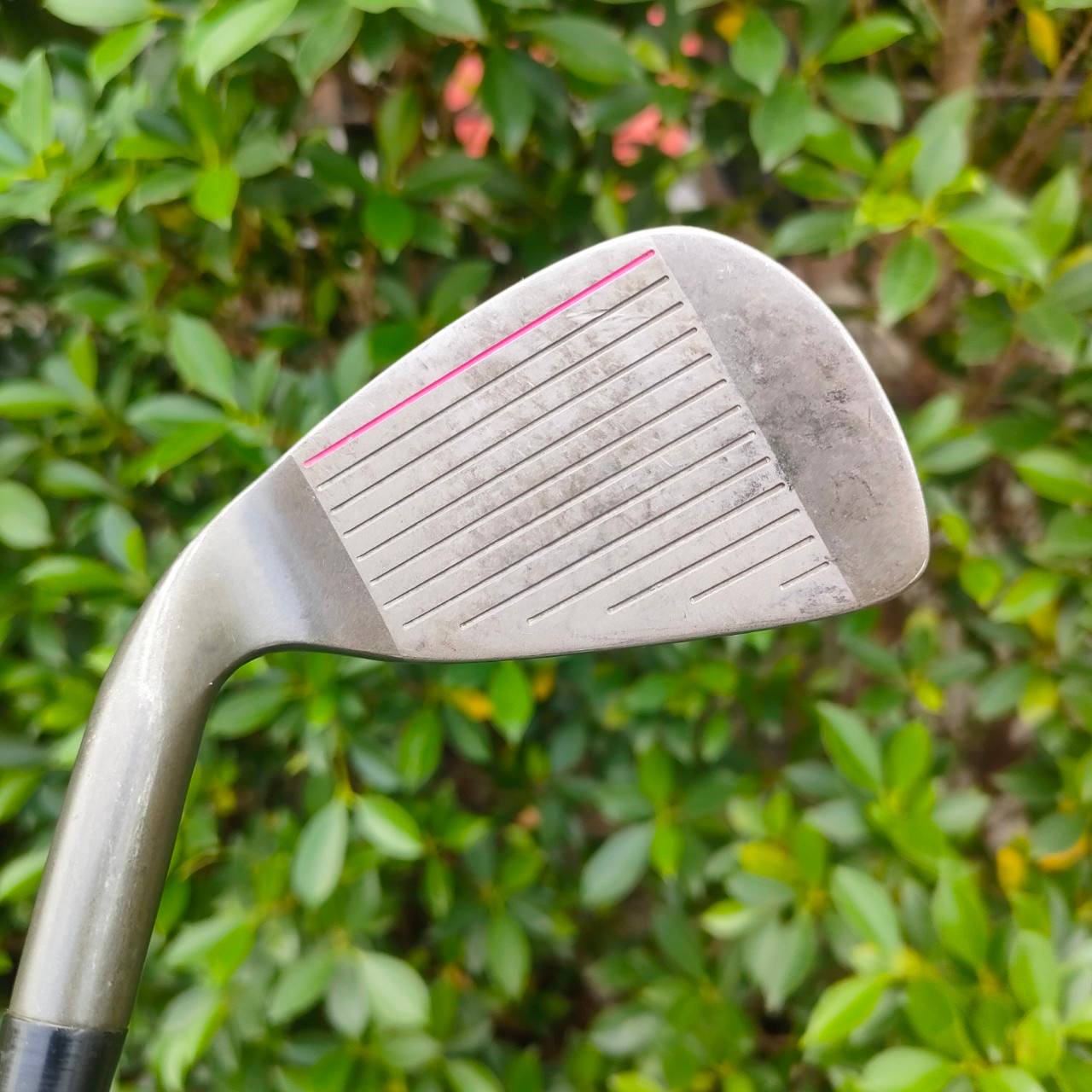 **ไม้กอล์ฟสำหรับผู้หญิง** ชุดเหล็ก YONEX GRAPHLEX LADY มีเหล็ก 3-9 เเละ PW SW ก้าน YONEX GP300 FLEX L MADE IN JAPAN