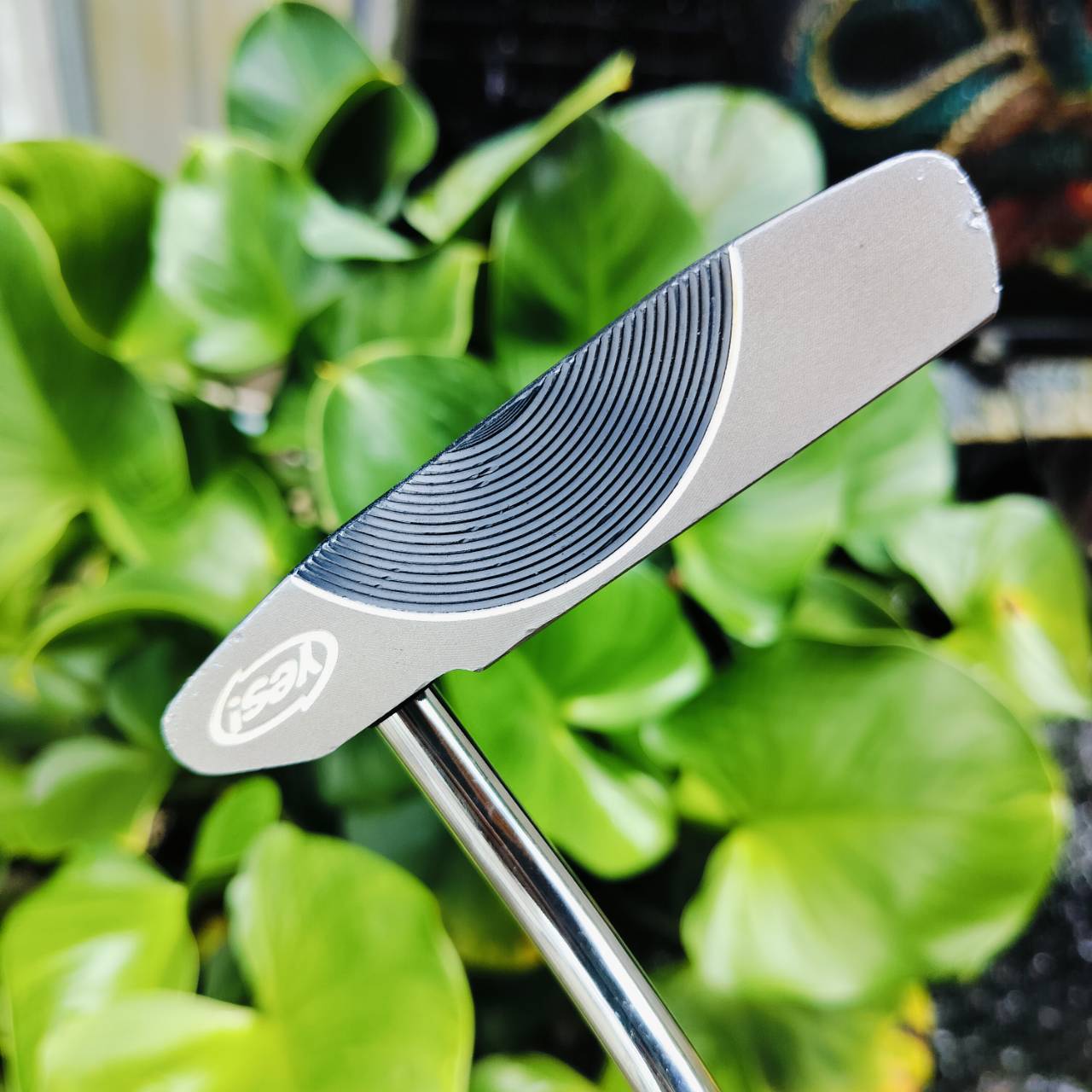 PUTTER YES C-GROOVE DONNA ความยาว 33 นิ้ว รุ่นนี้โด่งดังเพราะ SOLE ยื่นออกเพิ่ม ทำให้การชดเชยความผิดพลาดสูงขึ้น หน้าสัมผัสสุดยอดเกาะไลน์เป็นเอกลักษณ์ เส้นเล็งสะอาดตาแม่นยำอย่างมาก ไม้กอล์ฟพรีเมี่ยมมือสอง ของแท้ By NakaraLuxurious