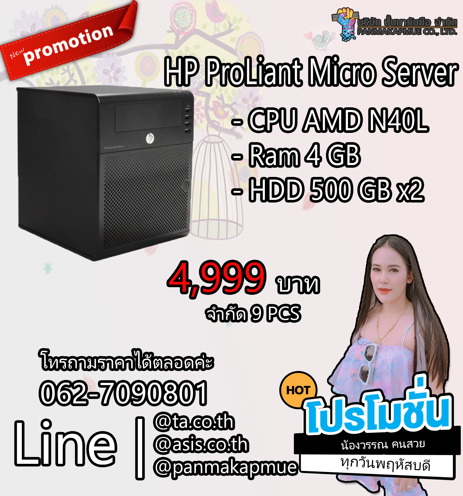 HP ProLiant Micro Server G7 CPU AMD Turion II Neo N40L