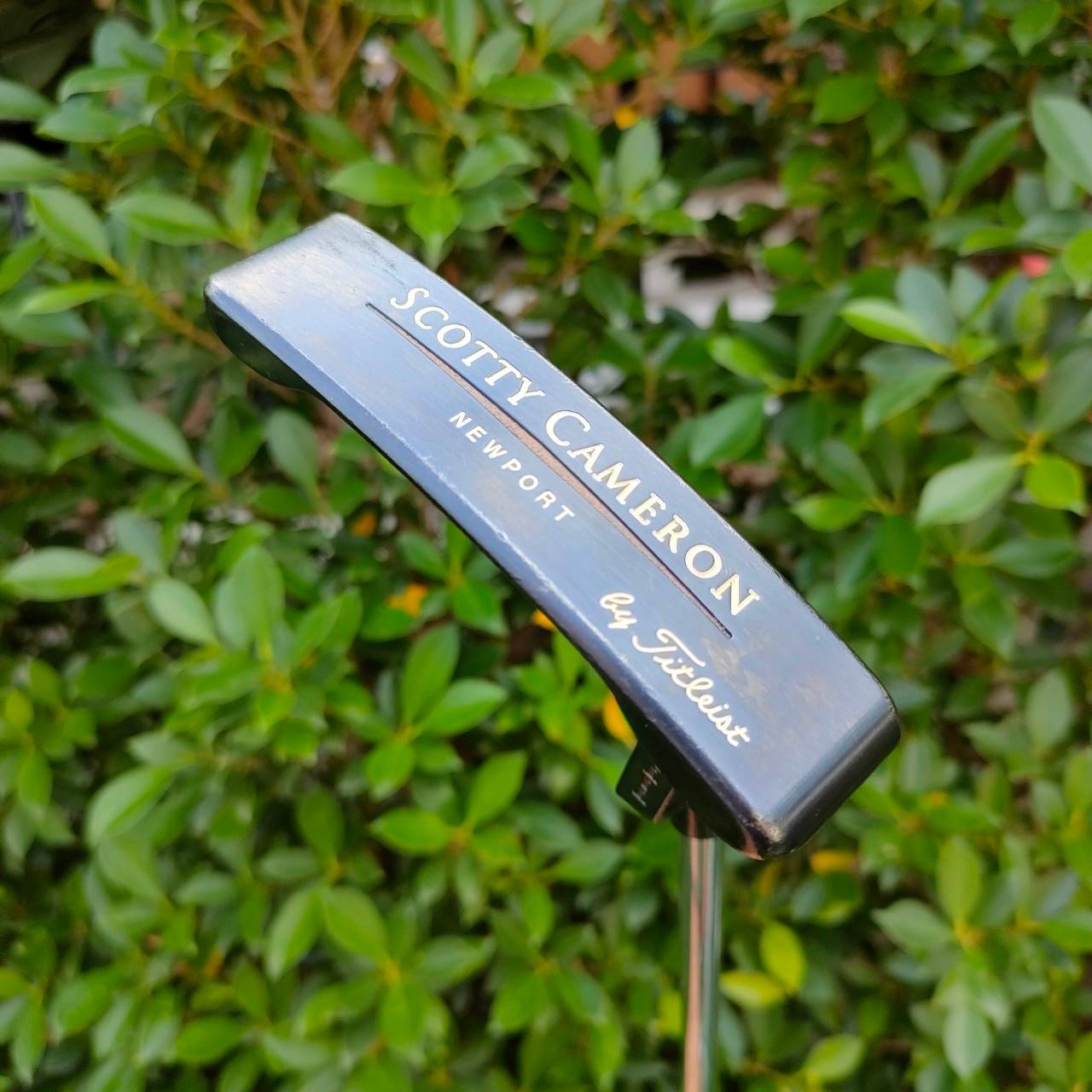 PUTTER SCOTTY CAMERON NEWPORT TE I3 Teryllium ความยาว 35 นิ้ว COVER แท้ สวยนางฟ้าเลยจ้าาา