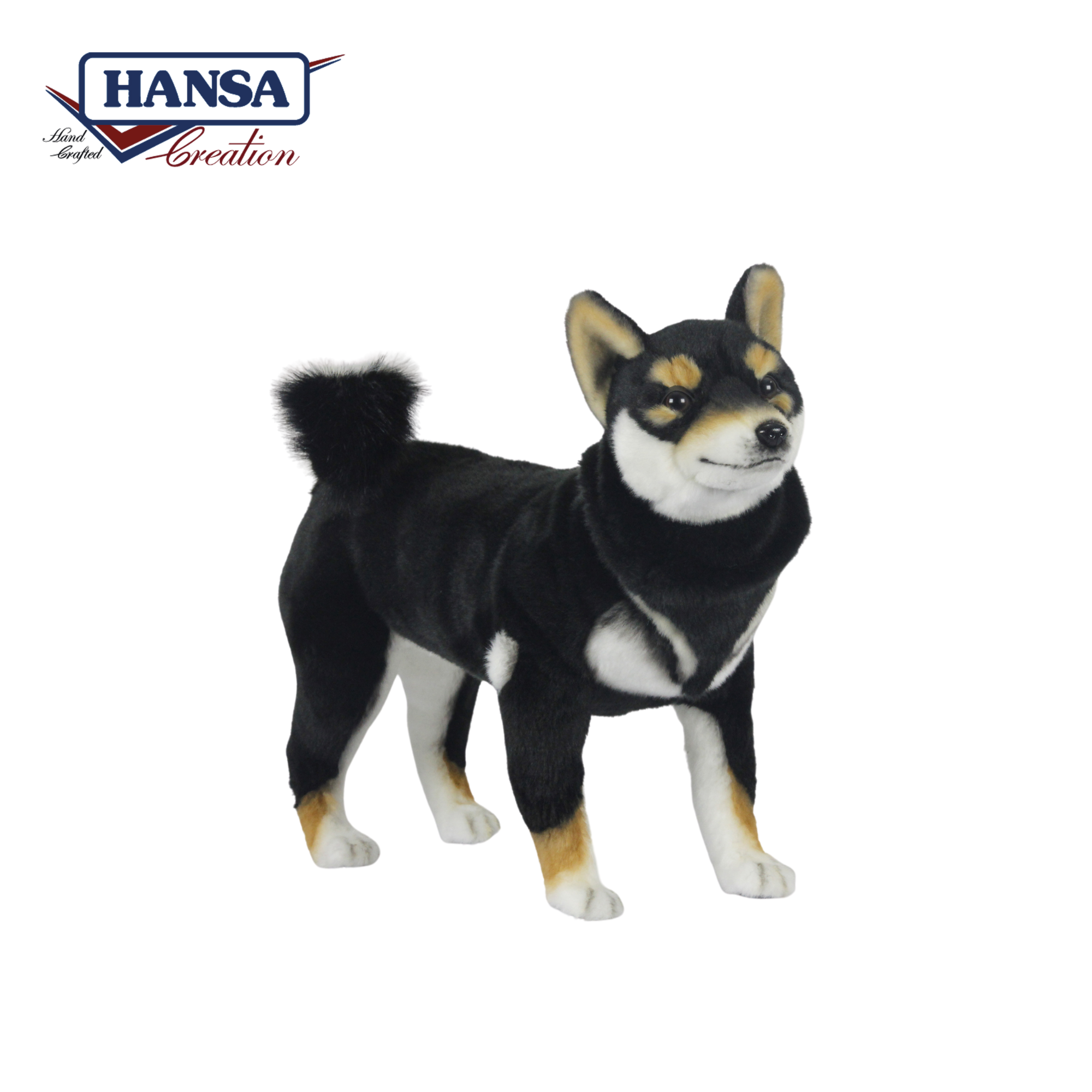 7242 Shiba Inu Black Standing 50 cm.L