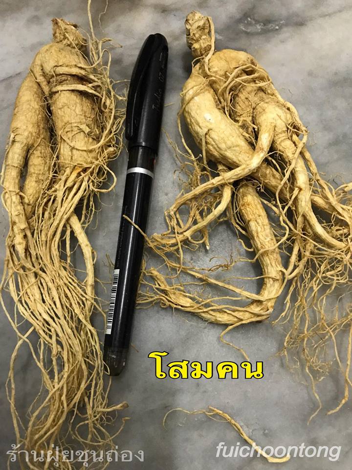 โสมคน