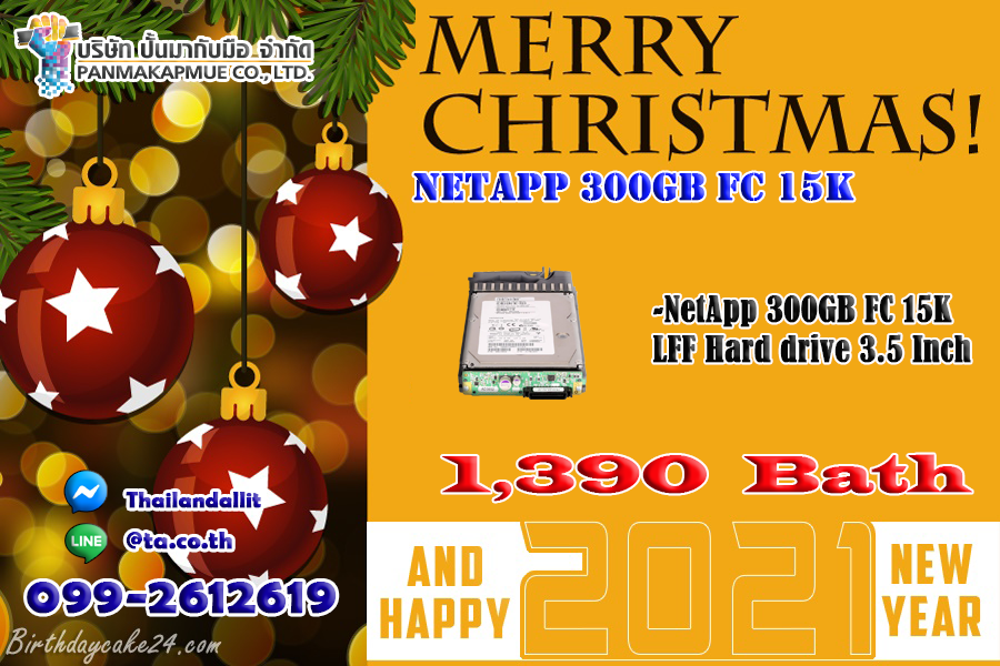NETAPP 300GB FC 15K