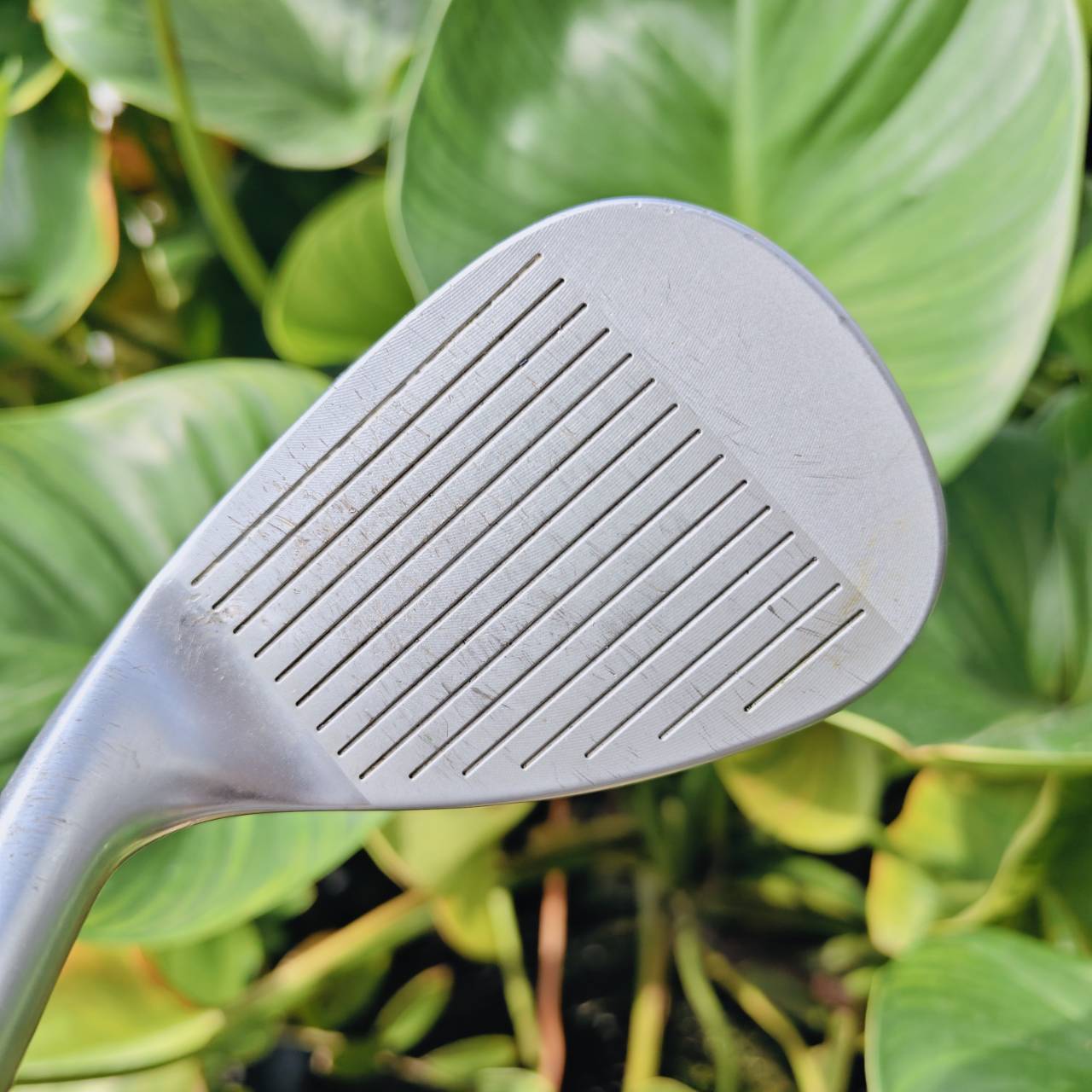 WEDGE PING TOUR-W – 60° | Bounce 10° ความแม่นยำรอบกรีนที่คุณต้องลอง!