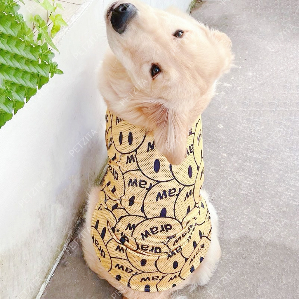 🇹🇭พร้อมส่ง🇹🇭 🐕🦮🐕 BIGSIZE เสื้อ หมาใหญ่ หมาอ้วน ลายแฟชั่นน่ารัก ผ้ารูใส่สบาย FOR สัตว์เลี้ยง สุนัขพันธุ์ใหญ่