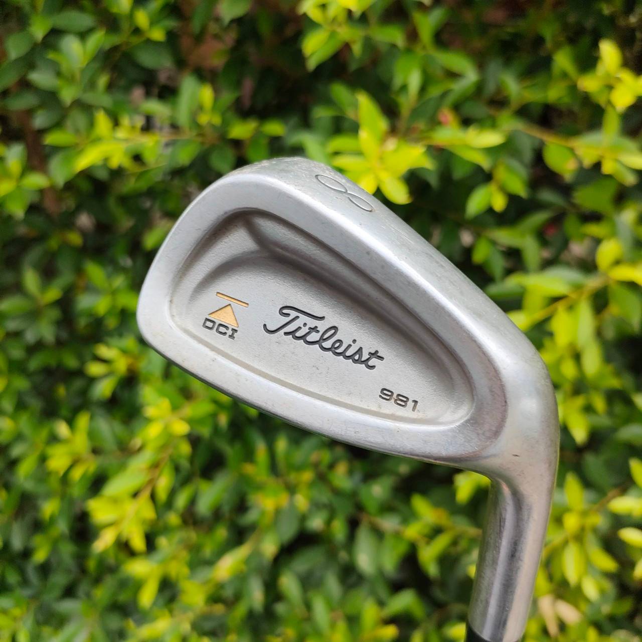 เหล็ก 8 TITLEIST DCI 981 ก้าน PRECISION FCM 5.5 ก้านดีมากๆ แม่นยำ มั่นคง