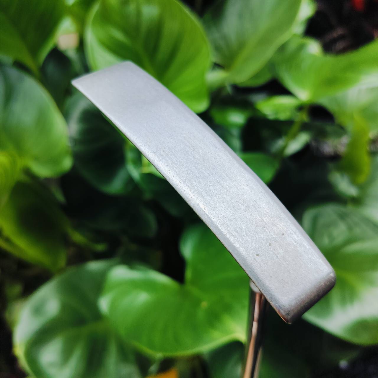 PUTTER PING ZING 2 ความยาวก้าน 35 นิ้ว น้ำหนักดี และหน้ายาวกว่า รุ่น ANSER พัตต์ง่ายกว่าด้วย ไม้กอล์ฟพรีเมี่ยมมือสอง ของแท้ By NakaraLuxurious