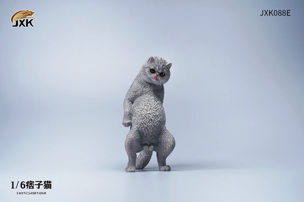 [สั่งจอง]JXK JXK088 1/6 : Exoticshorthair