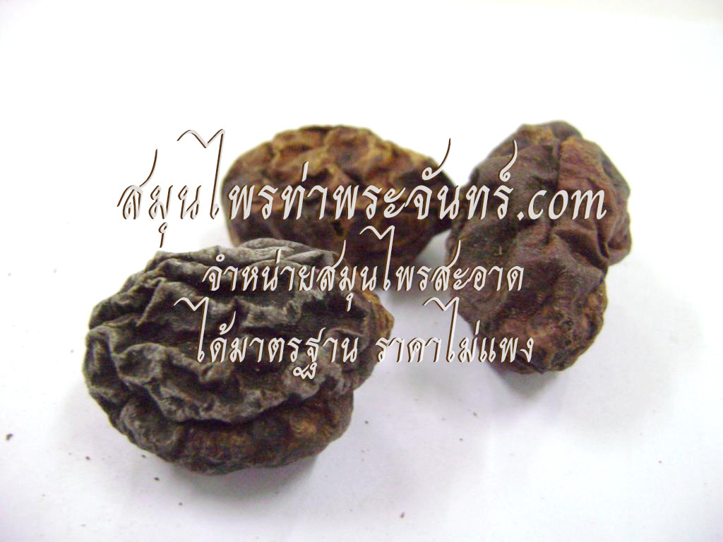 สมอไทยแห้ง ( 500กรัม - 1กิโล ) / ( 500g - 1kg ) สมุนไพรท่าพระจันทร์