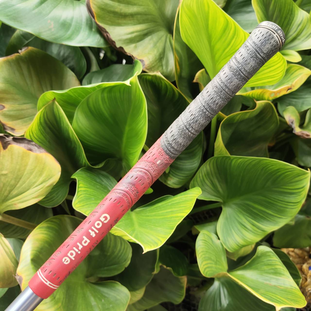 ไม้กอล์ฟผู้หญิง 3W - KING COBRA M/SPEED OFFSET หน้าเด้งมาก กระดองเด้งด้วย