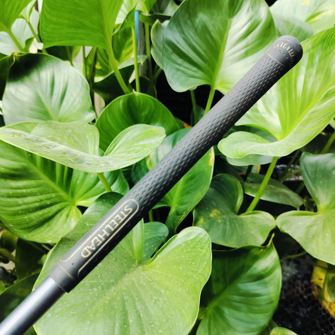 เหล็ก 3 Callaway X-16 เหล็กยาวตีง่ายสุดๆอยู่แล้ว ต้นตำหรับใบหนา Cavity ลึก แต่เป็นเหล็กที่เบาและนุ่มนวล เร่งสปีดได้ดี ตีโดนง่ายมาก ไม้กอล์ฟพรีเมี่ยมมือสอง ของแท้ By NakaraLuxurious