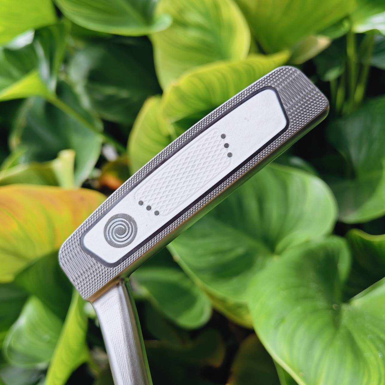 PUTTER ODYSSEY BLACK SERIES 9 | 33 นิ้ว | Tungsten Weight
