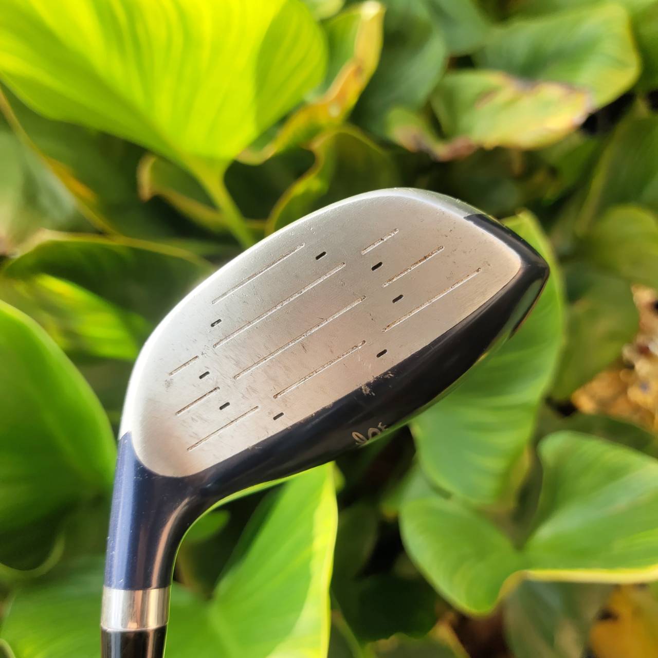 ไม้กอล์ฟผู้หญิง 7W - KING COBRA M/SPEED OFFSET หน้าเด้งมาก กระดองเด้งด้วย