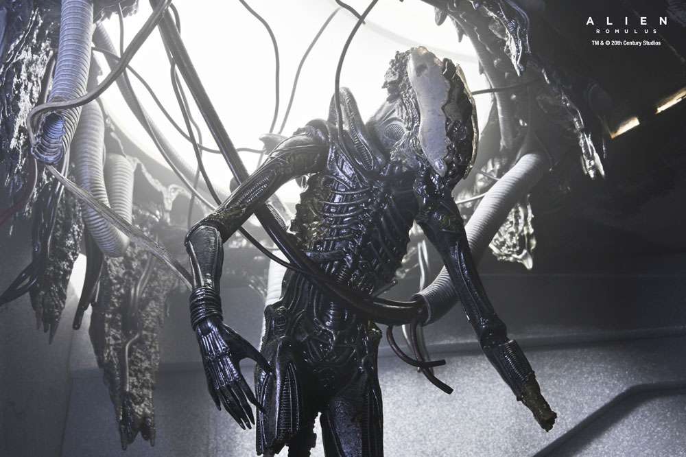 [สั่งจอง] NECA : Romulus Suspended Lab Xenomorph XX121