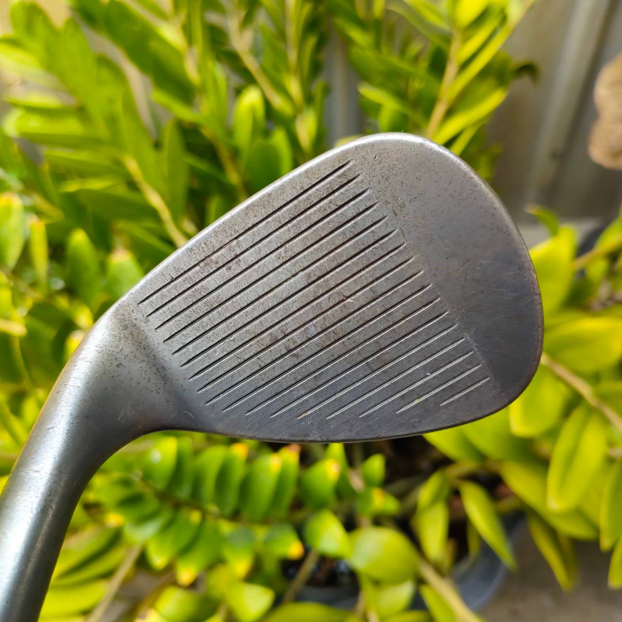 WEDGE TITLEIST BV SM6 S-GRIND องศา 54 BOUNCE 10 ร่อง Spin Milled TX4 โหดสุดๆ ตกหยุดถอยๆ