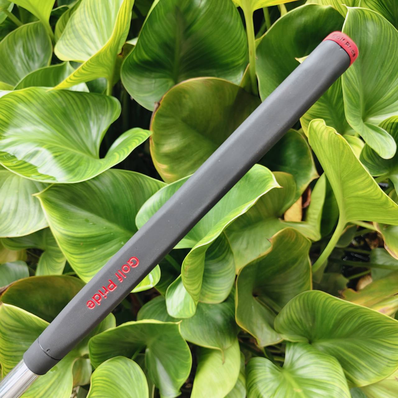 ** ไม้กอล์ฟสำหรับท่านที่ถนัดซ้าย ** PUTTER TITLEIST SCOTTY CAMERON FUTURA PATENT PENDING ตัวต้นแบบ ความยาว 35 นิ้ว ตรงรุ่น มีสลักไว้ ไม้กอล์ฟมือสอง ของแท้ BY NakaraLuxurious