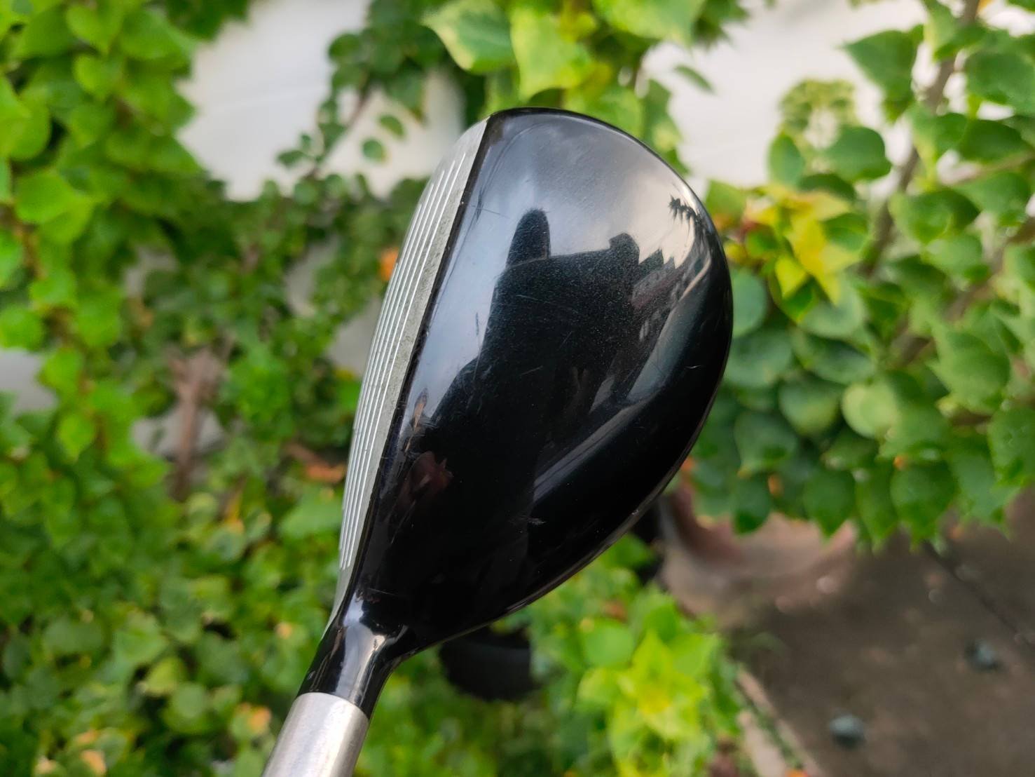 HYBRID TITLEIST VG3