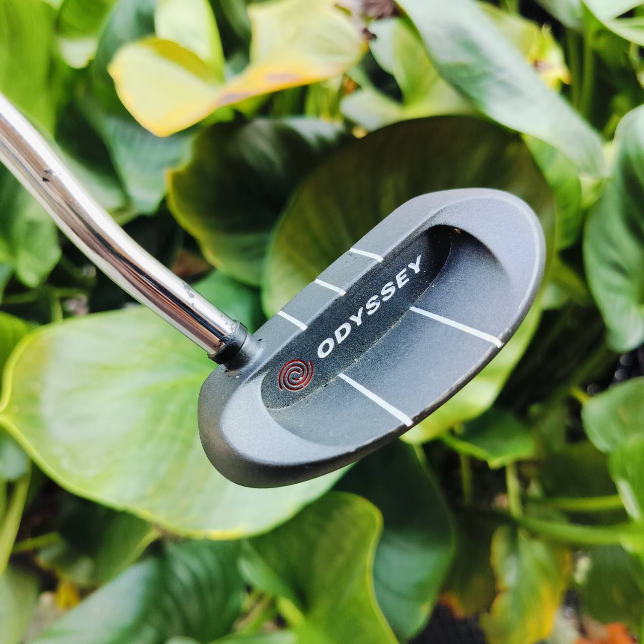 PUTTER ODYSSEY DFX 1100 ความยาว 34 นิ้ว ทรงมอลเล็ต ชดเชยความผิดพลาดสูง พัตต์ง่าย หน้าสัมผัสนุ่มและเกาะไลน์มาก ไม้กอล์ฟพรีเมี่ยมมือสอง ของแท้ By NakaraLuxurious