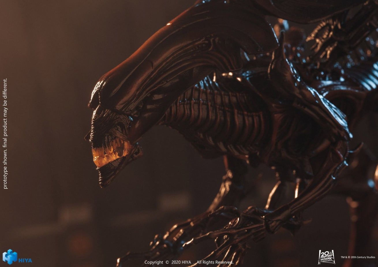 [สั่งจอง]HIYA 1/18 : AVP