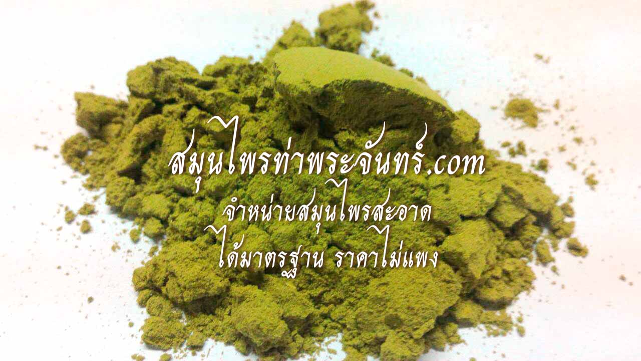 ใบมะรุมผง