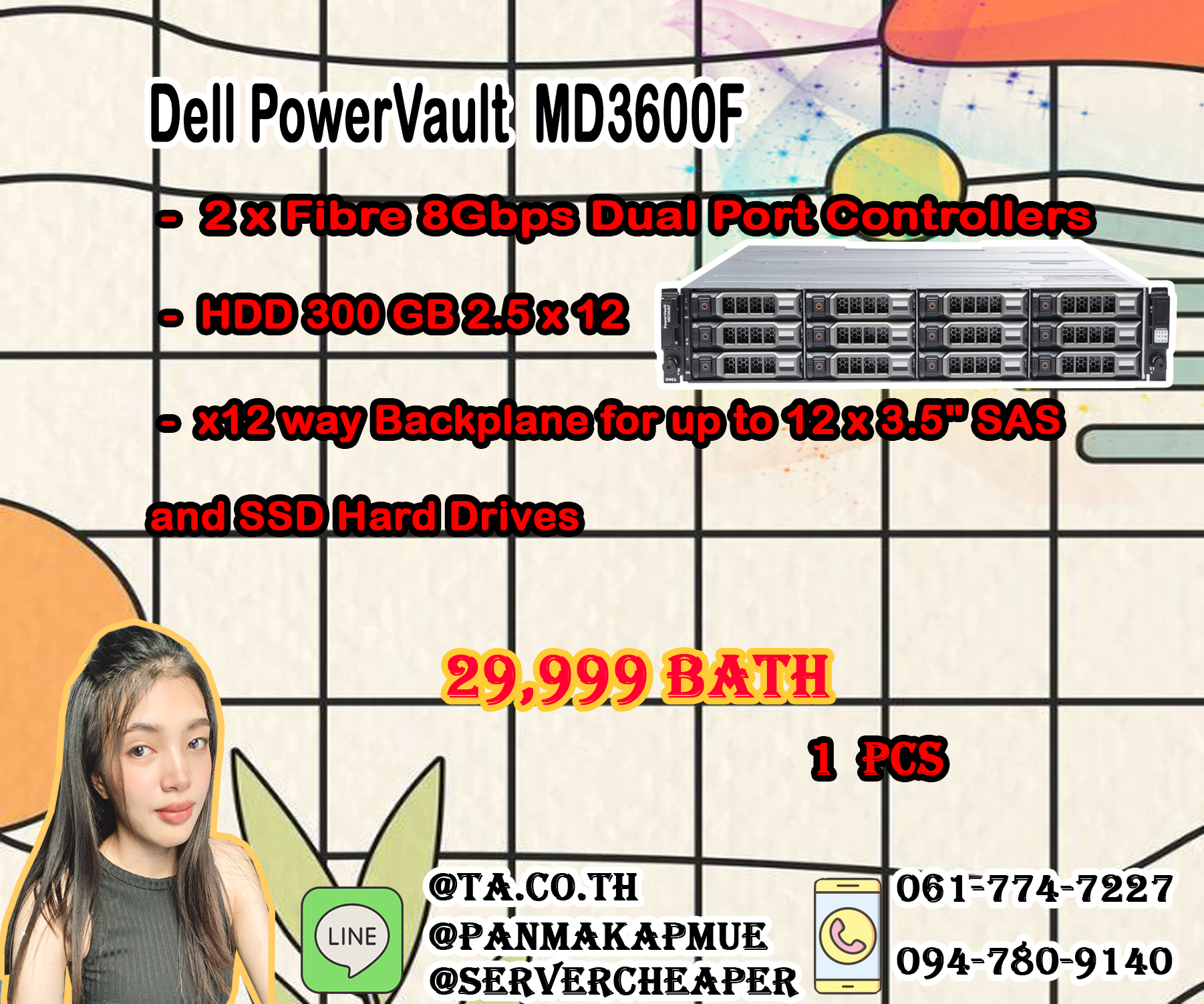 Dell PowerVault MD3600F