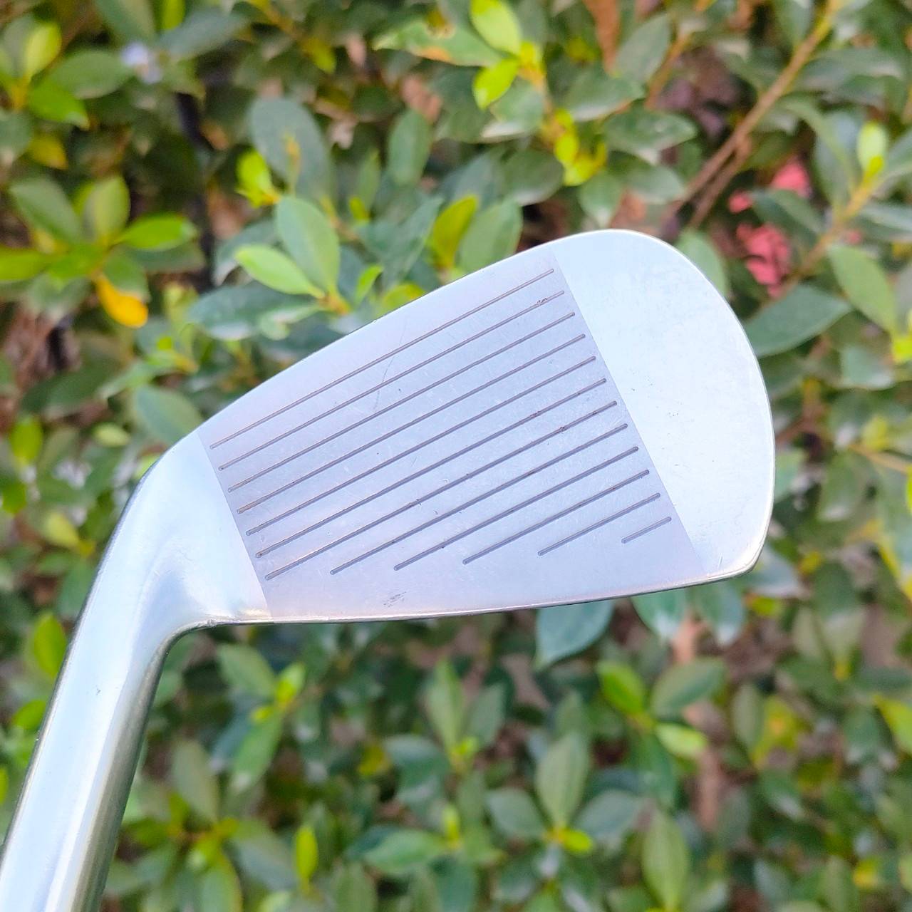 ชุดเหล็ก TITLELIST 591 FORGED มีเหล็ก 3-9 เเละ PW W ** ขาดเหล็ก 8 **