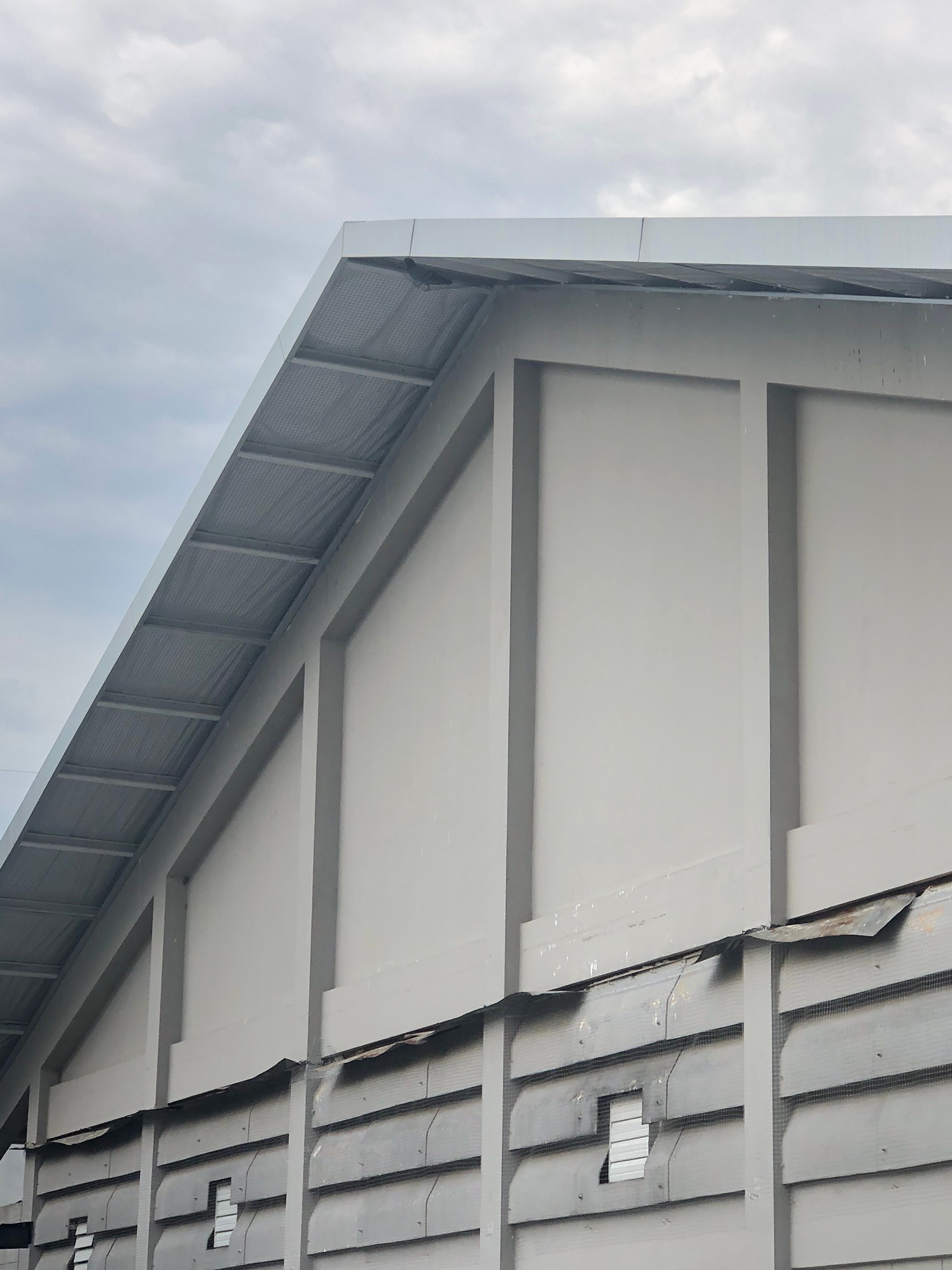 งานติดตาข่ายกันนก ตึกกายวิทยาทาน มหาวิทยาลัยมหิดล