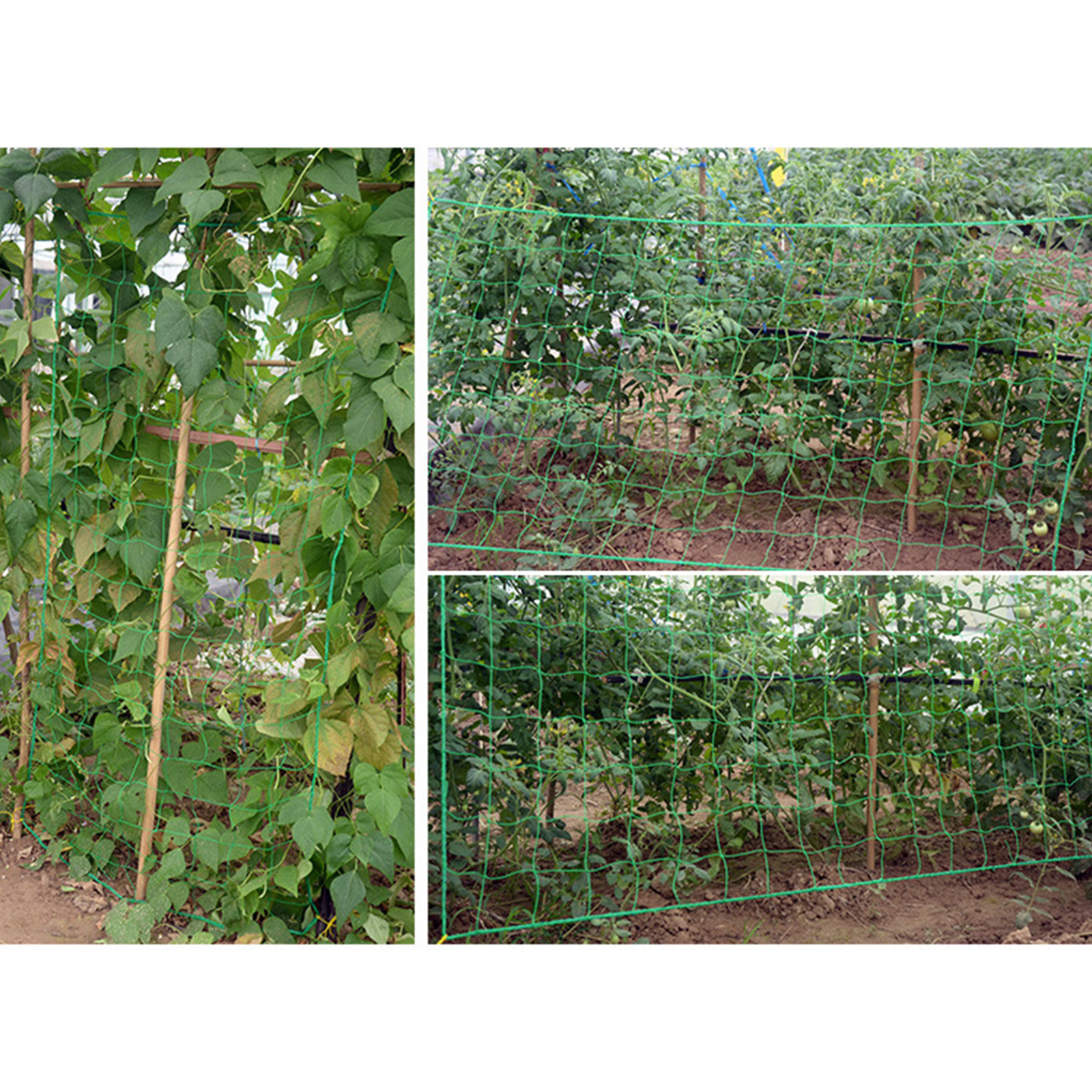 ตาข่ายไม้เลื้อย มี5ขนาด ตาข่ายไนลอน อุปกรณ์ทำสวน ตาข่ายไนลอนไม้เลื้อย