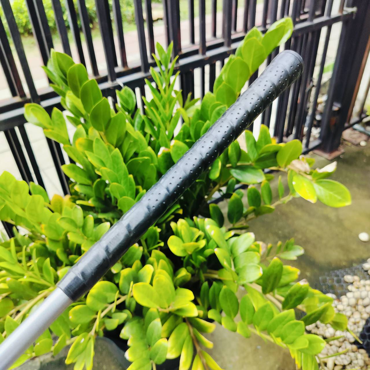 ชุดเหล็ก KING COBRA มีเหล็ก 5-9 PW SW ก้านกราไฟต์ COBRA FLEX R ใบใหญ่ OVERSIZE ตีได้ระยะ และตีไกลแบบสุดๆ ไม้กอล์ฟพรีเมี่ยมมือสองญี่ปุ่น ของแท้ By NakaraLuxurious