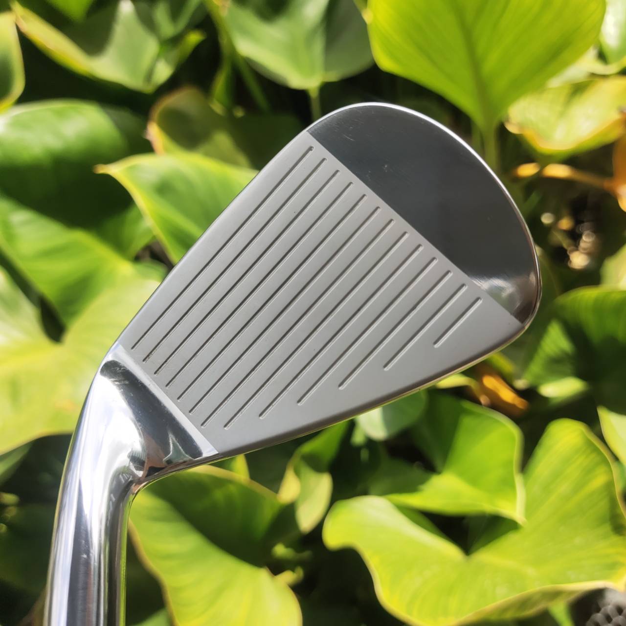 Mizuno JPX 800 AD FORGED “AD” = Amazing Distance เน้นชูจุดขายเรื่องระยะ