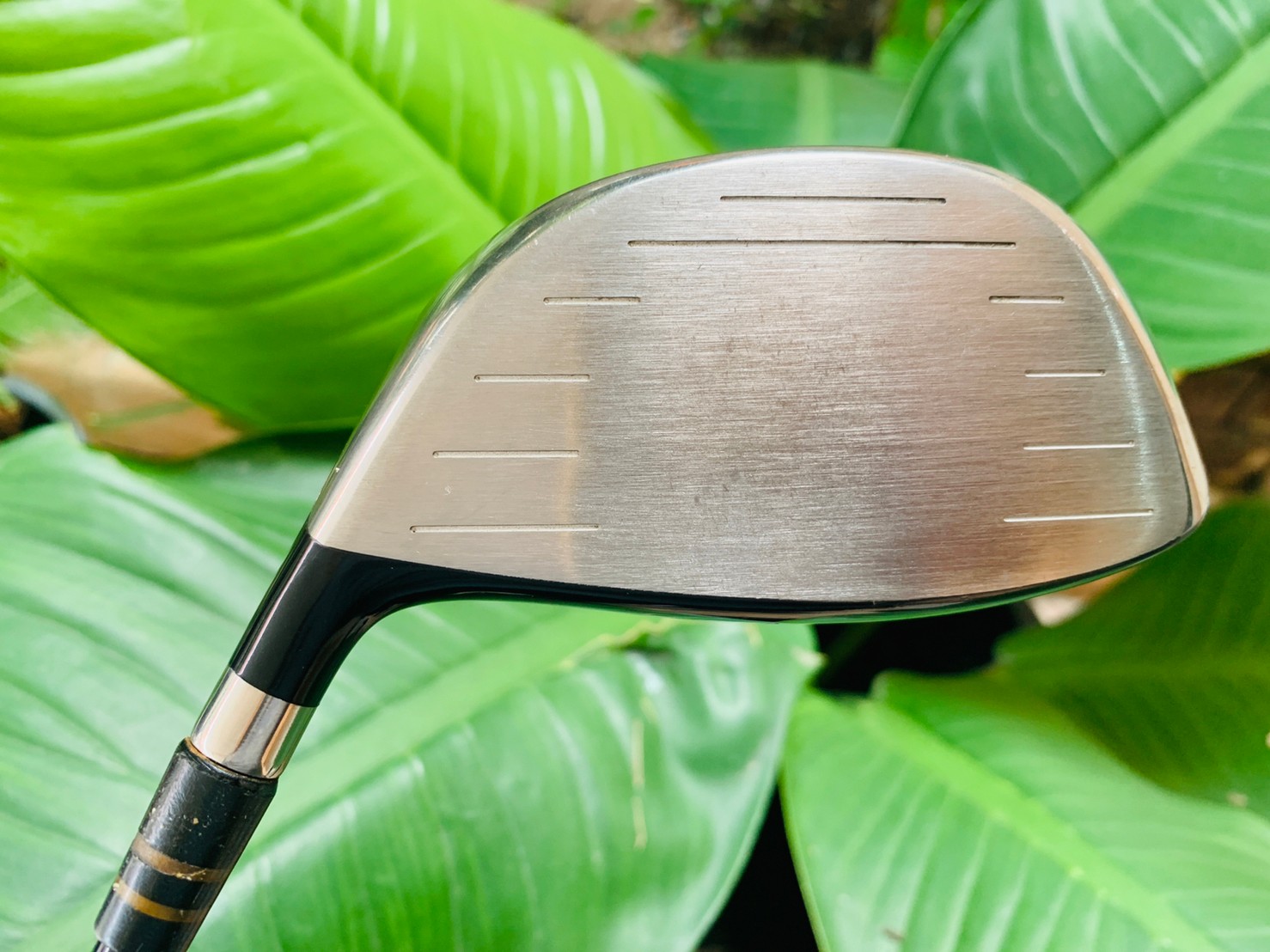 DRIVER KING COBRA S9.1