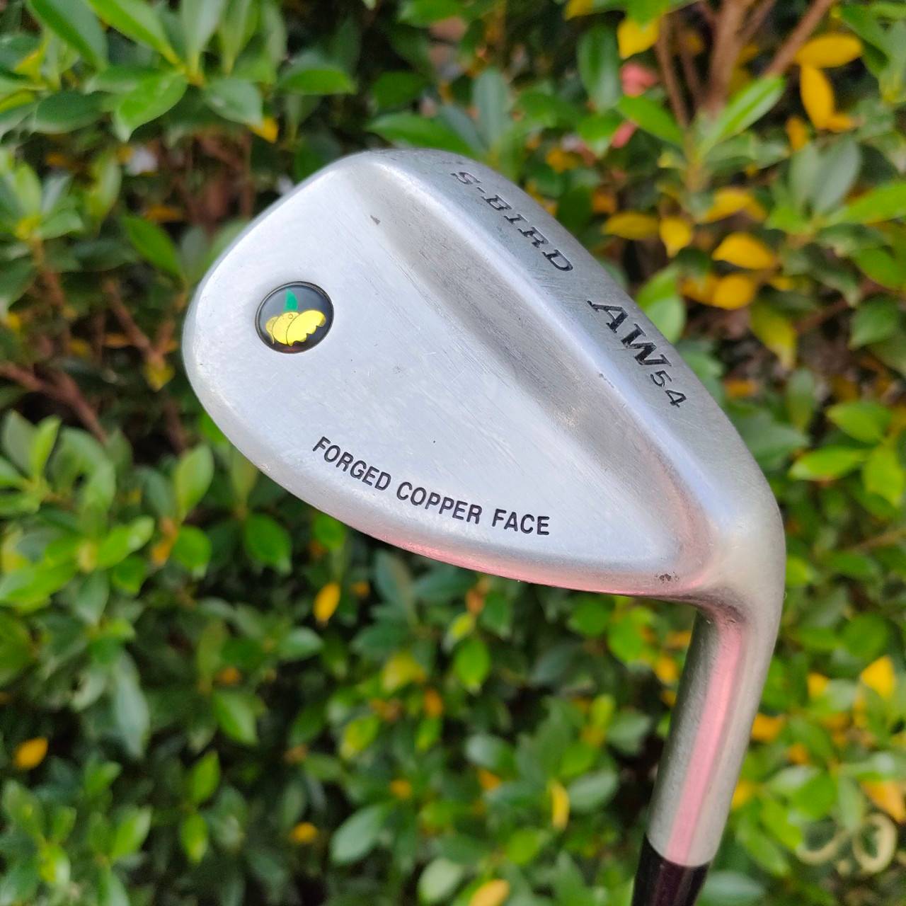 เหล็ก AW S-BIRD FORGED COPPER FACE ก้าน NEW CONCEPT องศา 54 หน้าหนึบ ร่องคม สปินตกหยุดครับ