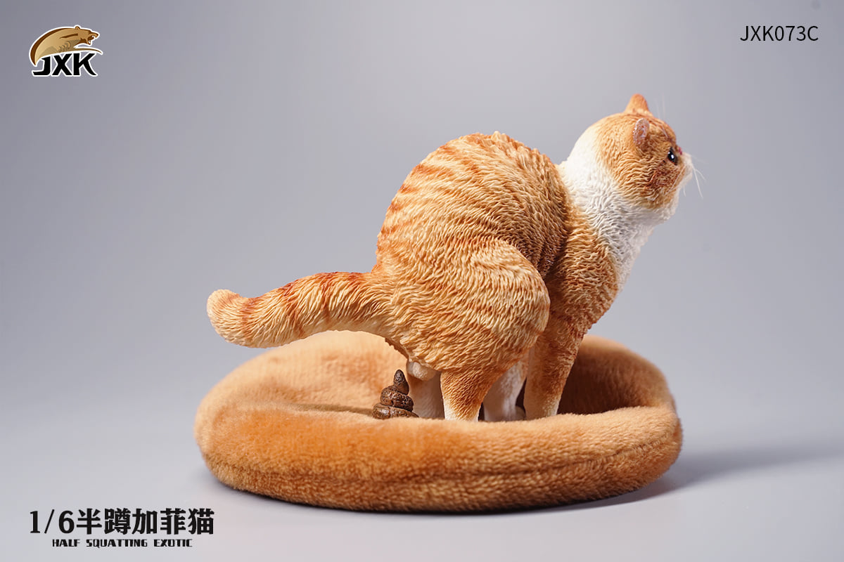 [สั่งจอง]JXK JXK073 ABCD 1/6 : Half squatting ExoticShorthair