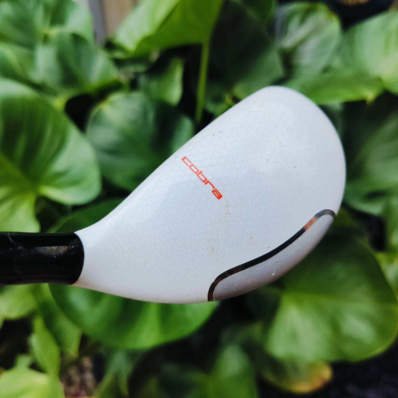 UT COBRA AMP CELL สามารถไขปรับได้หลายเบอร์ ก้าน FUJIKURA ROMBAX ก้านนี้ตัวโหด ก้านดีมากๆ ตีไกลจัด!!! ไม้กอล์ฟพรีเมี่ยมมือสอง ของแท้ By NakaraLuxurious