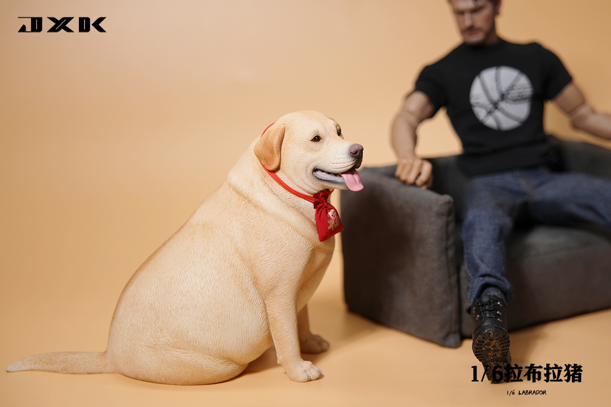 [สั่งจอง]JXK 1/6 : Labrador