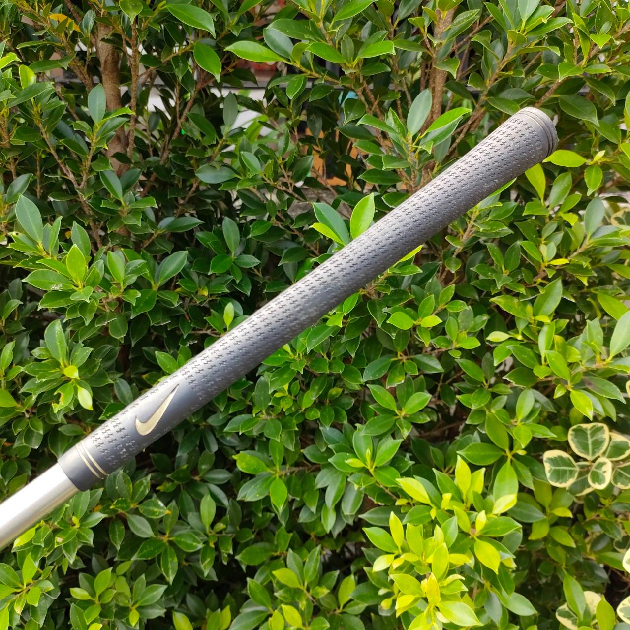 DRIVER NIKE SUMO2 5900 ก้าน PDC FLEX R องศา 10.5 เป็นรุ่น M.O.I. 5900 คือสูงที่สุดแล้วครับ ตีตรงอย่างเดียว ข้อเสียคือตีเลี้ยวไม่ได้ ตีไกล ตีง่าย ฟาดลงมาแรงๆ ตรงมาก